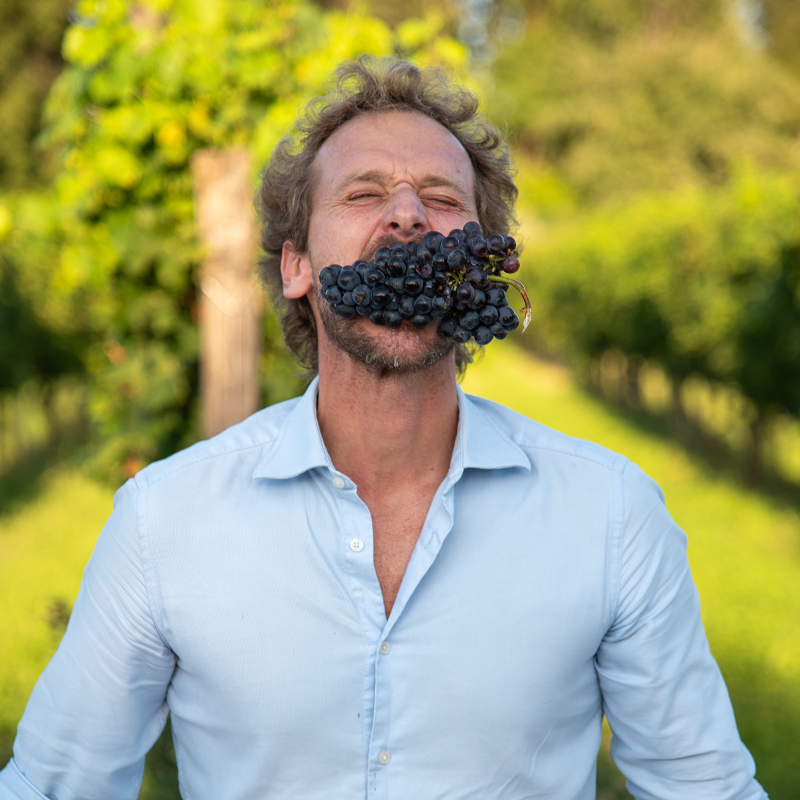 DIARIO DELLA Vendemmia Conti Thun 2023: Un'Annata di Sorprese e Speranze