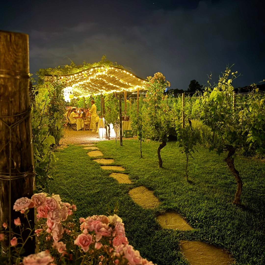 White Dinner in the Vineyard