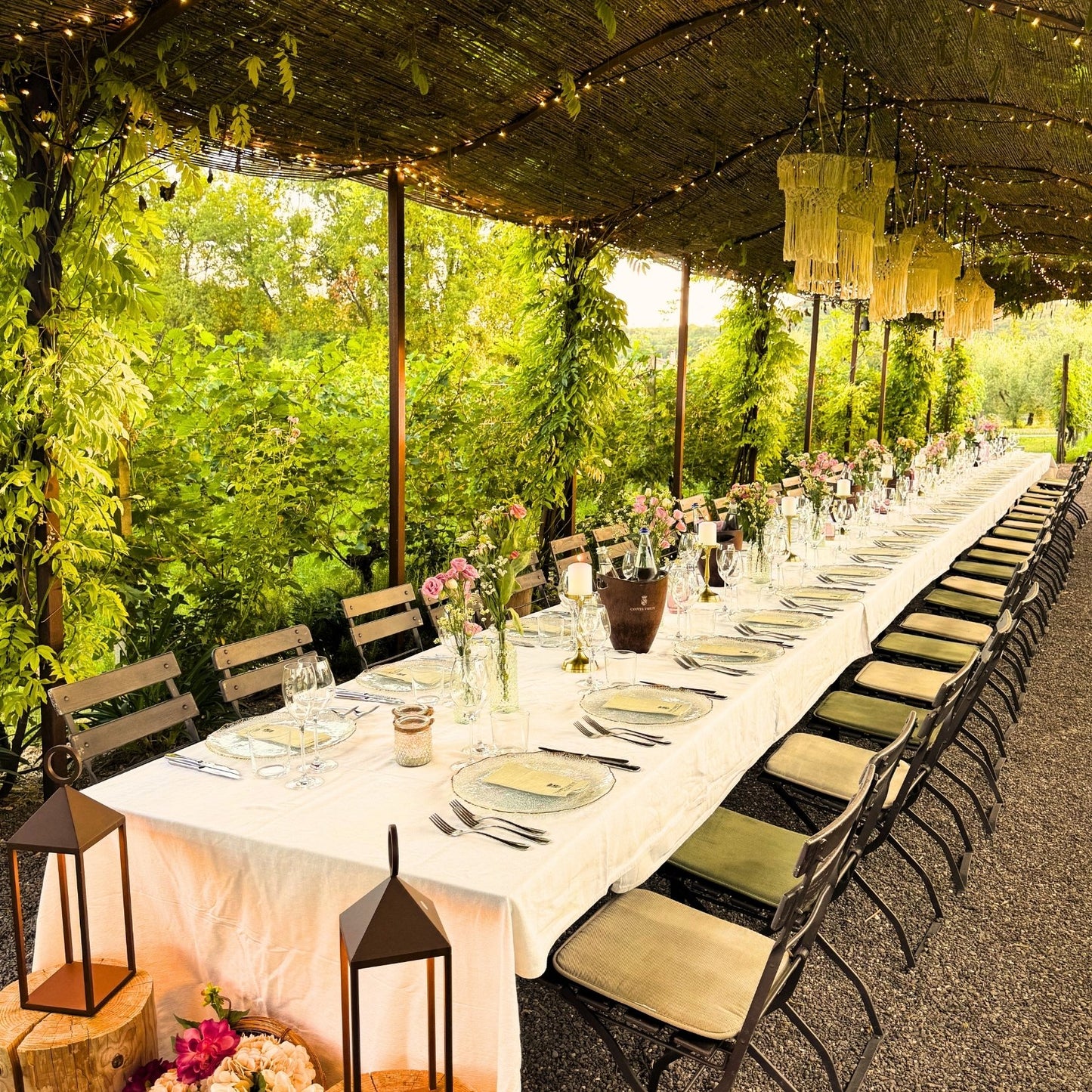 Dinner in the vineyards