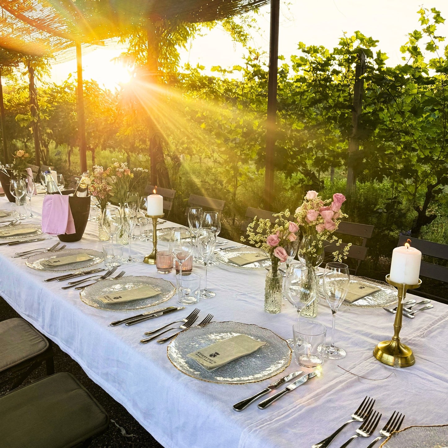 Dinner in the vineyards
