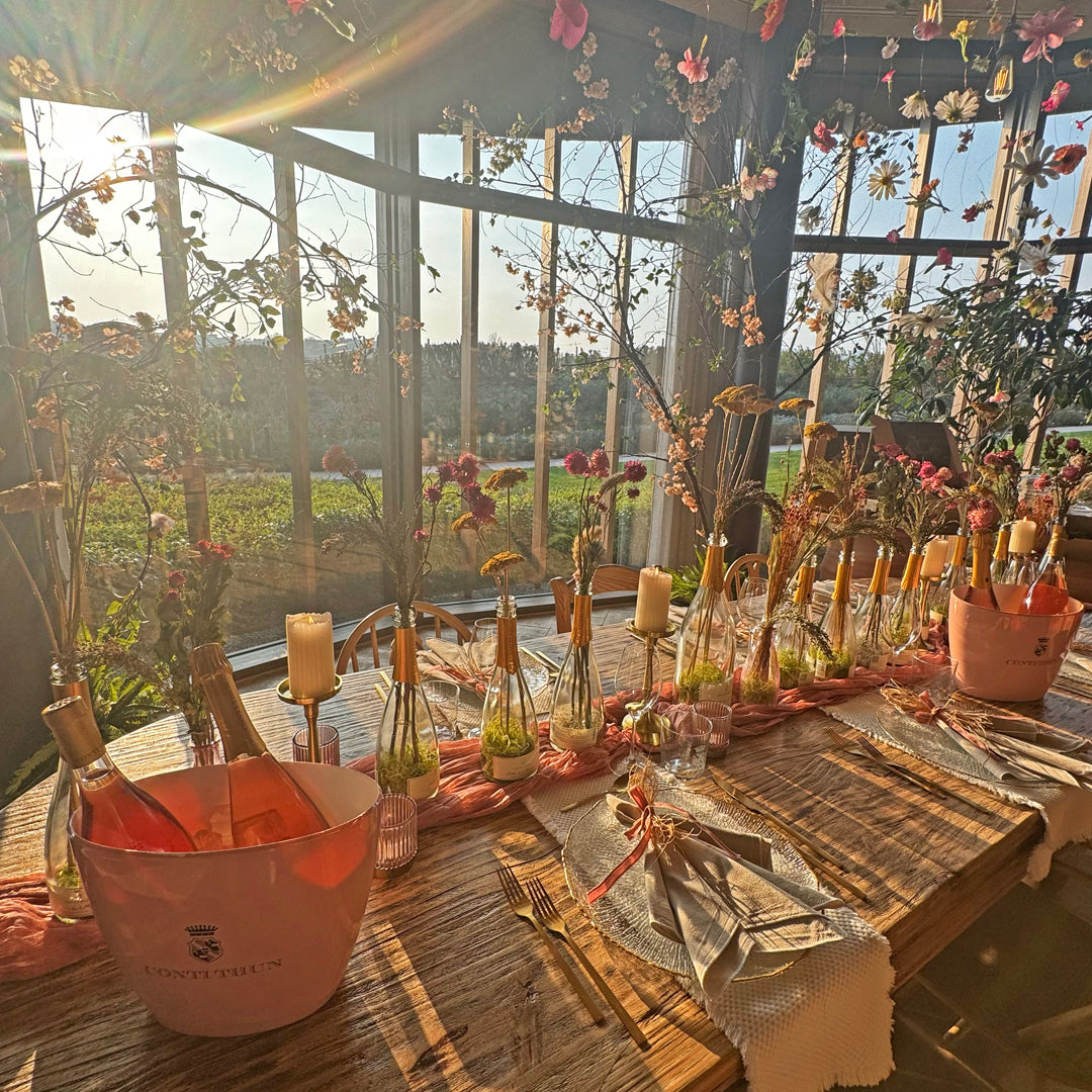 Spring Lounge