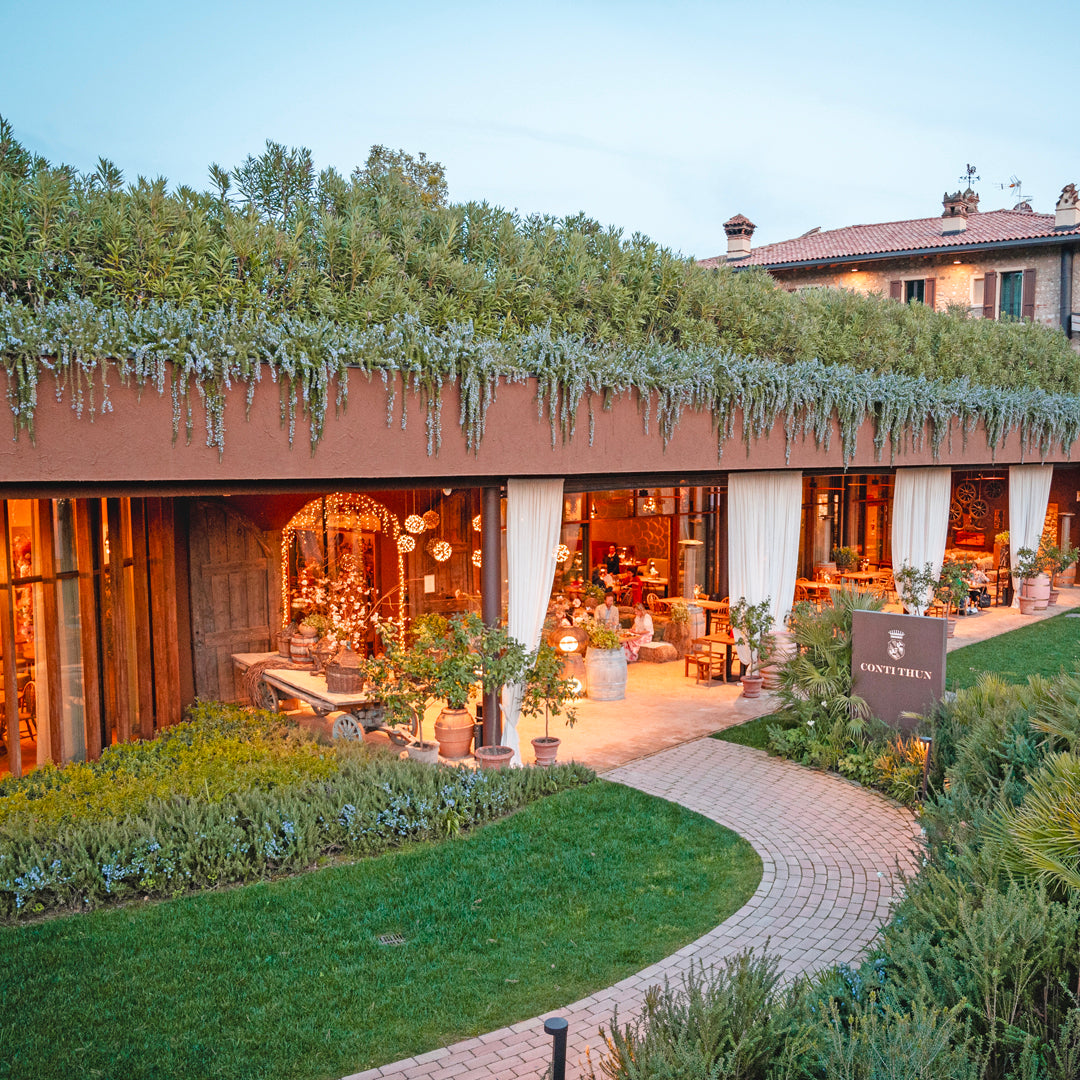 Wine Cocktails & Tapas