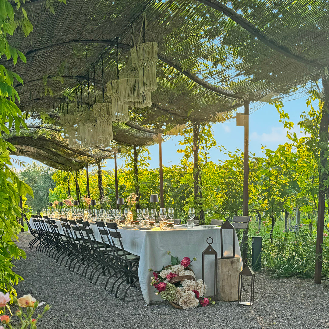 Abendessen im Weinberg