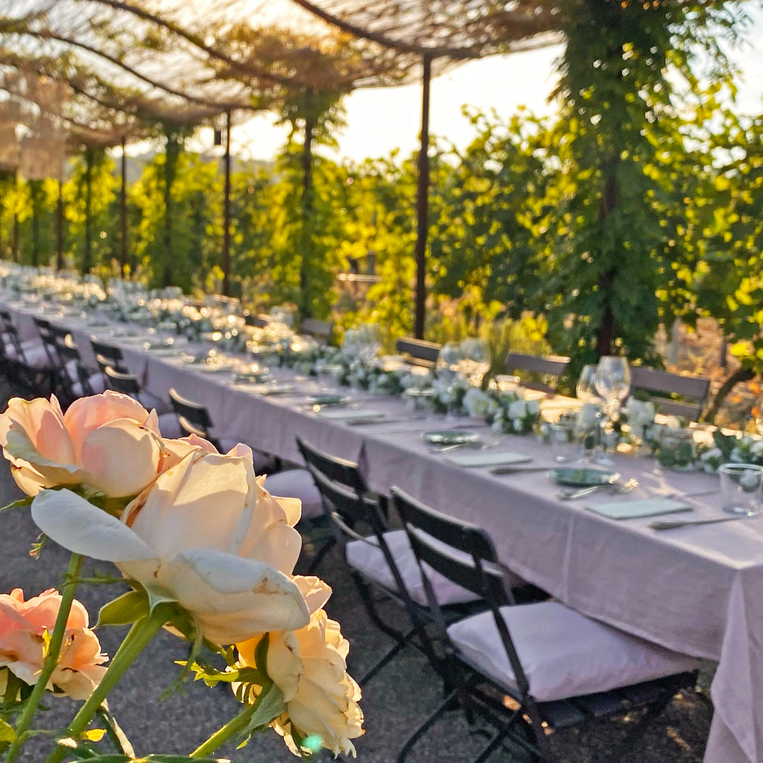 Abendessen im Weinberg