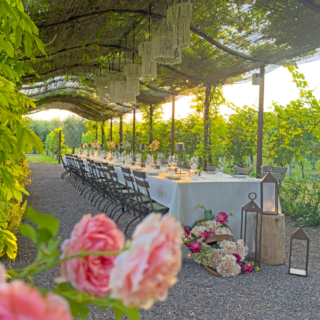Abendessen im Weinberg