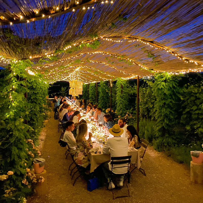 Abendessen im Weinberg