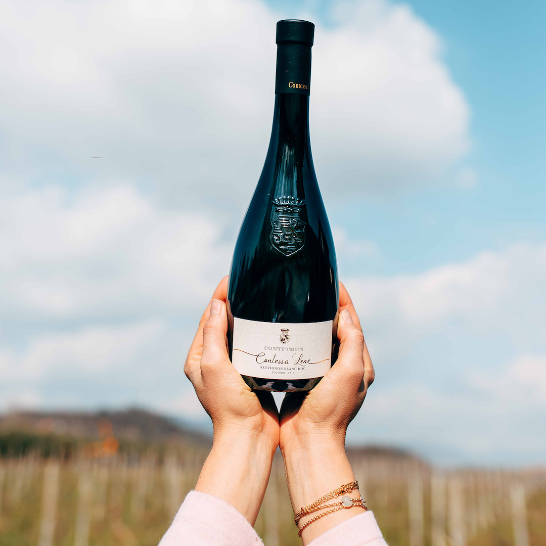 CONTESSA LENE - White Wine, Sauvignon Blanc Alto Adige DOC