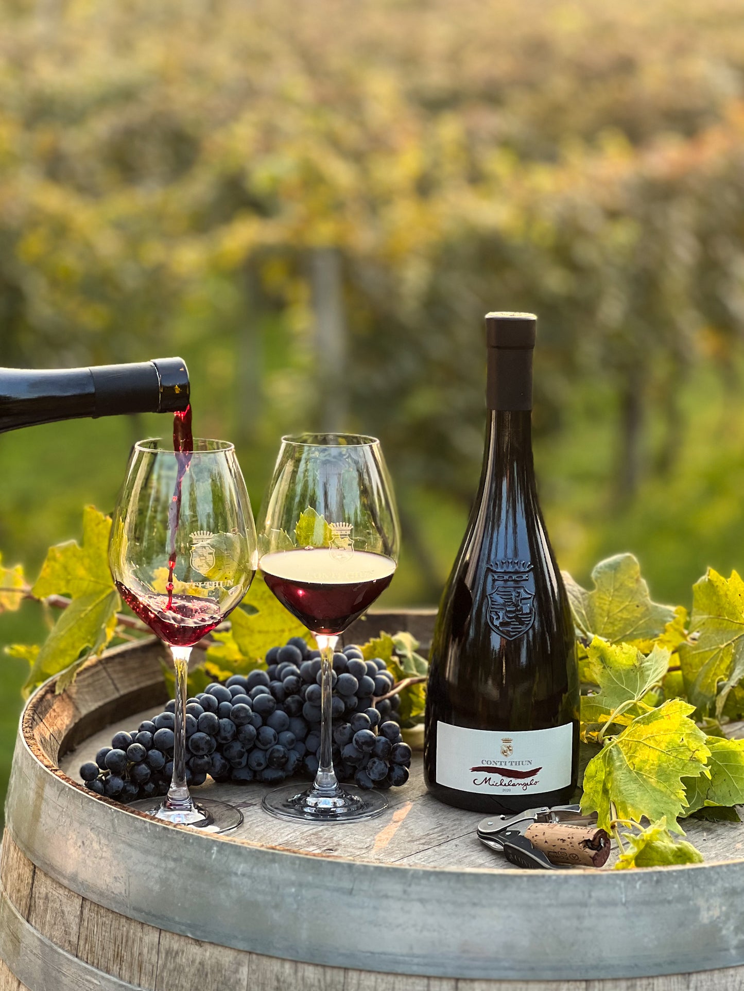 MICHELANGELO - vino rosso superiore, Riviera del Garda Classico DOC