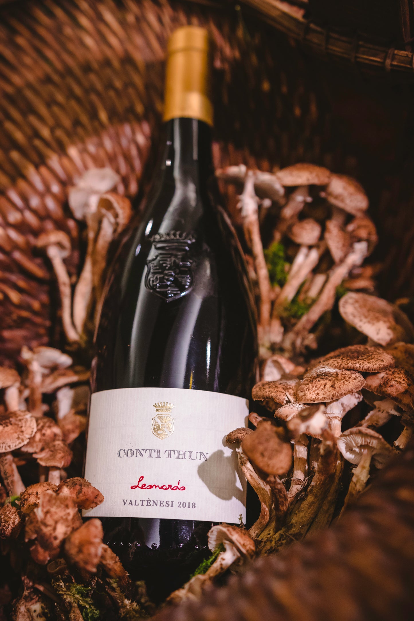 conti thun vino rosso abbinamento funghi