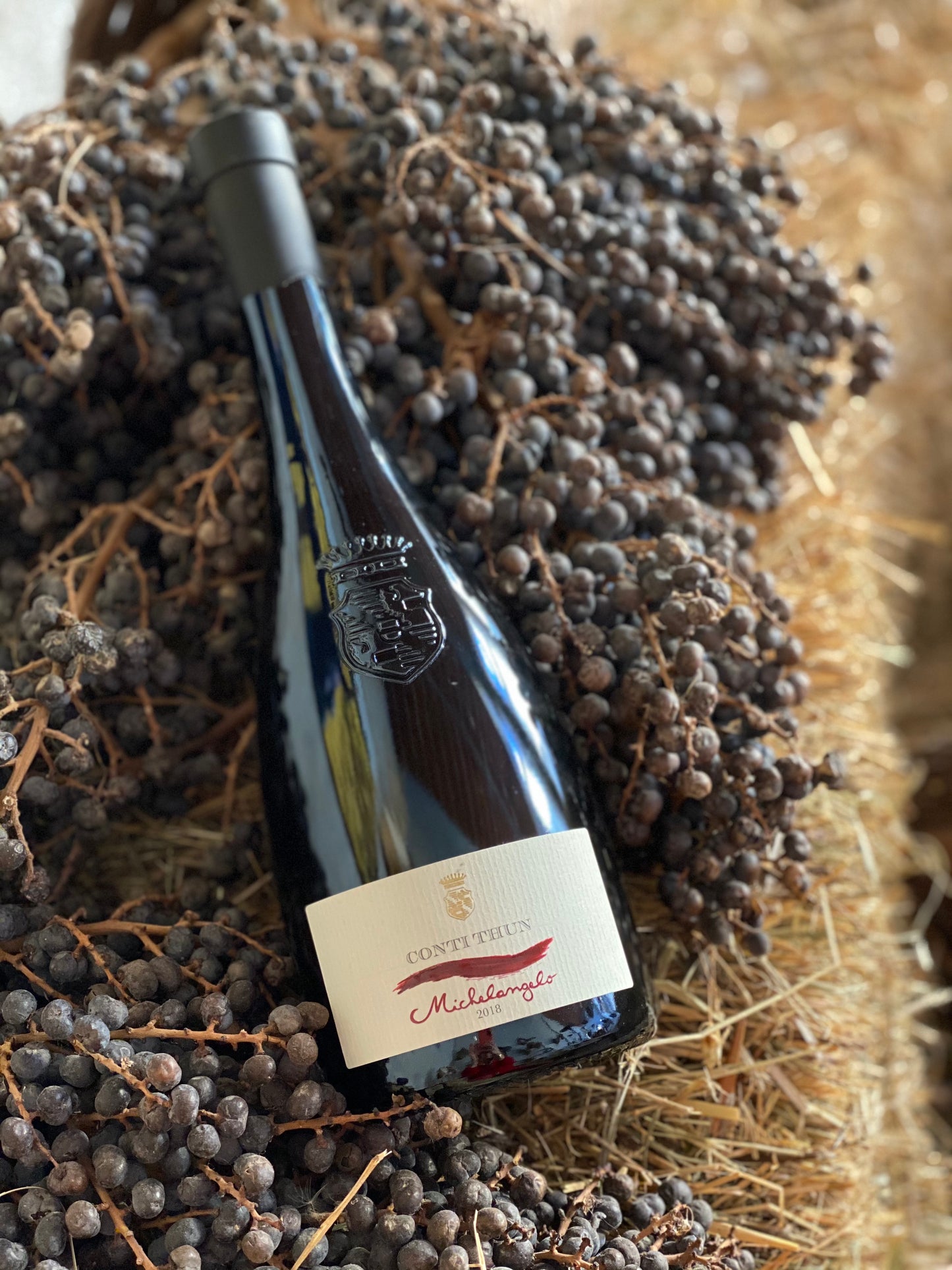 MICHELANGELO - vino rosso superiore, Riviera del Garda Classico DOC