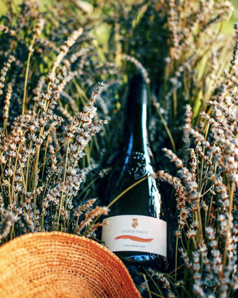 bottiglia di vino rosa rosè conti thun adagiato in un campo di lavanda