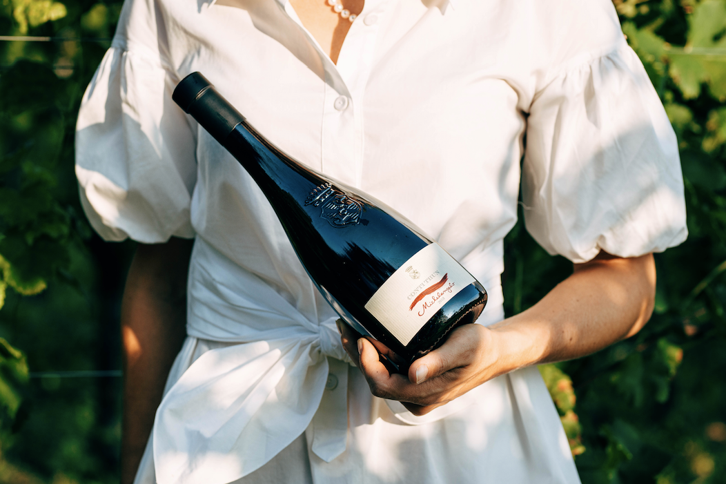 MICHELANGELO - vino rosso superiore, Riviera del Garda Classico DOC