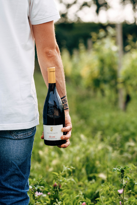 LEONARDO - vino rosso, Valtènesi Riviera del Garda Classico DOC