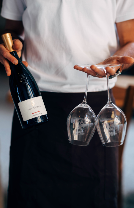 LEONARDO - vino rosso, Valtènesi Riviera del Garda Classico DOC