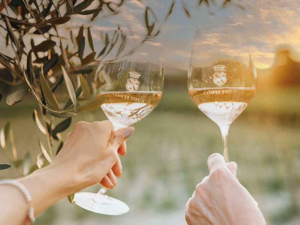 Degustare tra i filari: i 3 wine tour più scelti in estate