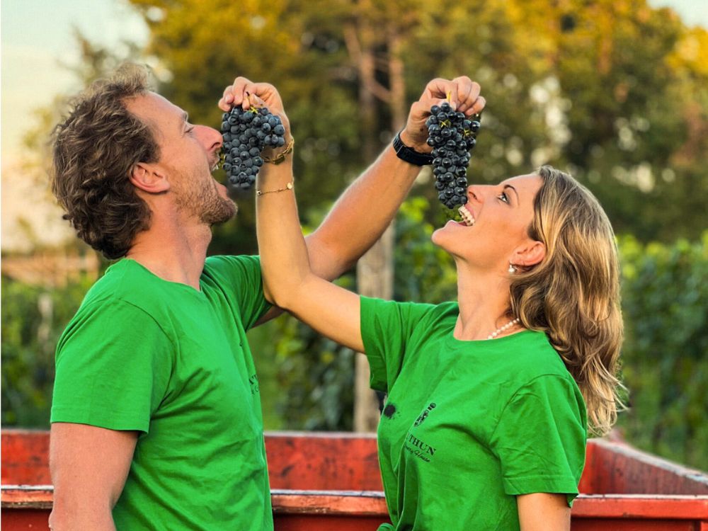 Vendemmia 2025 in Valtènesi: profumi, colori e racconti dal Lago di Garda