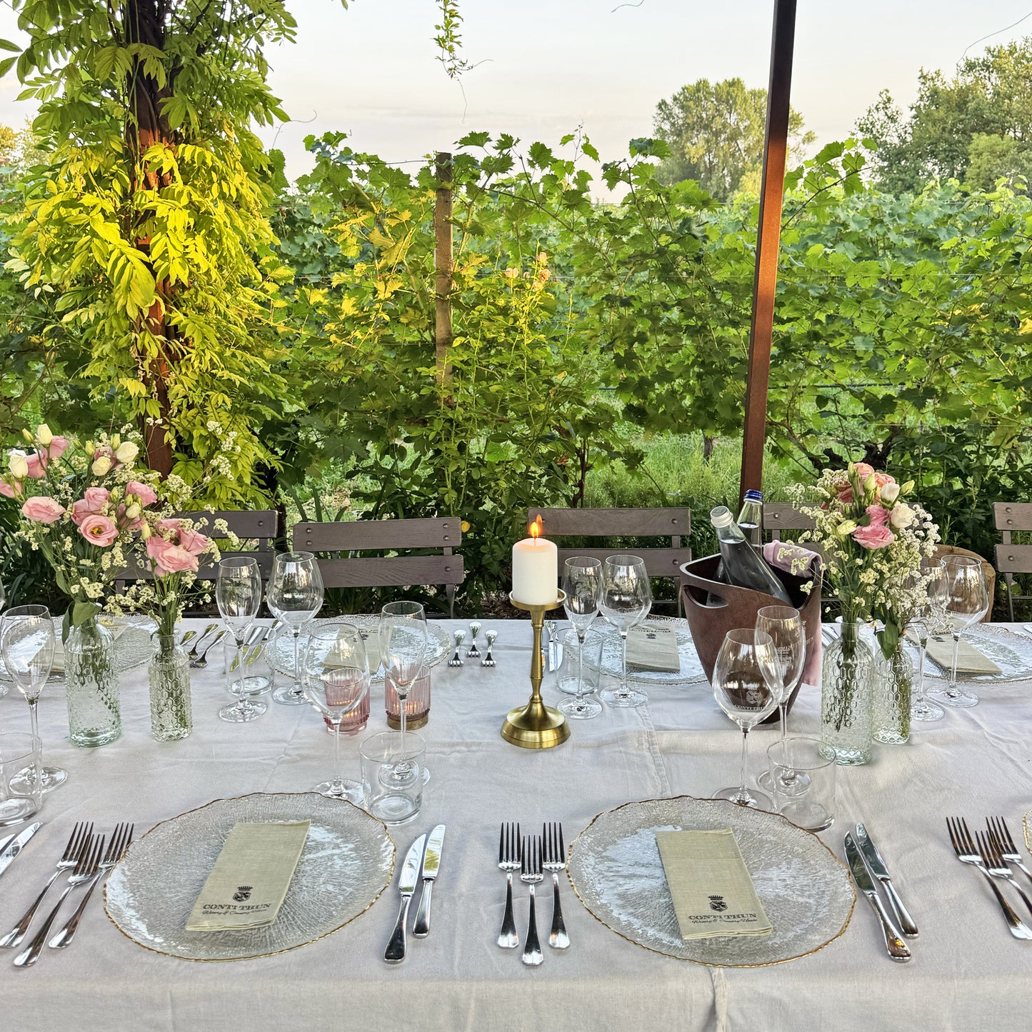 
                  
                    Dinner in the vineyards
                  
                