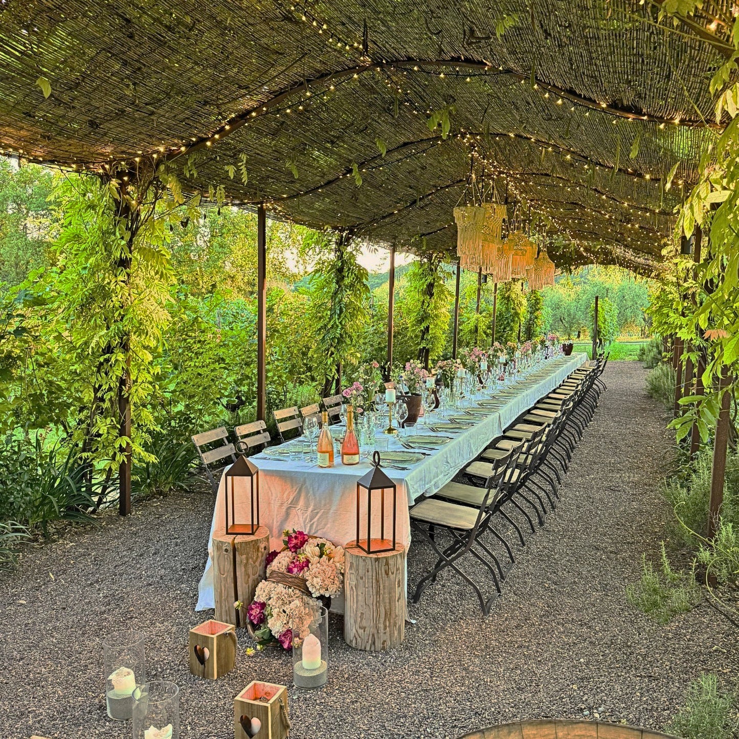 
                  
                    Dinner in the vineyards
                  
                