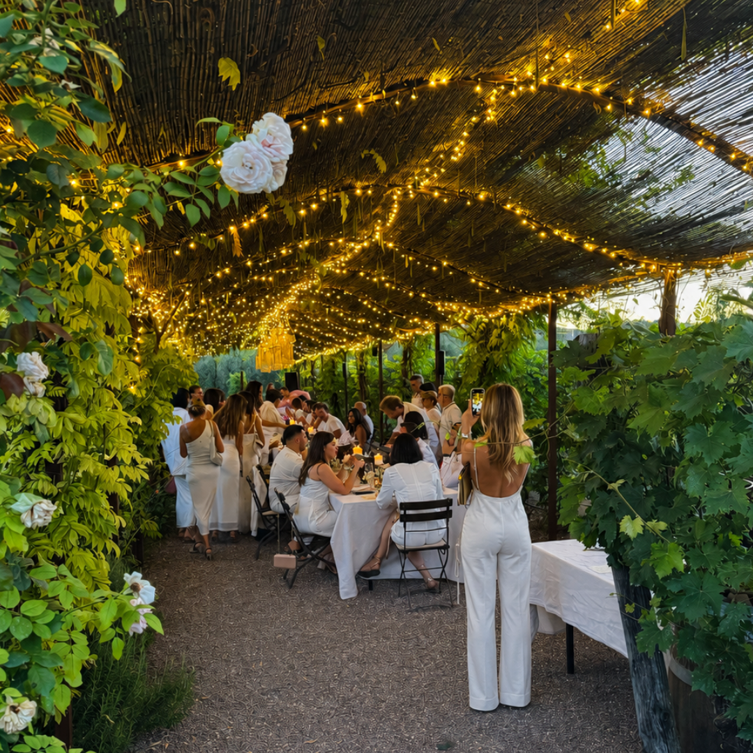
                  
                    White Dinner in the Vineyard
                  
                