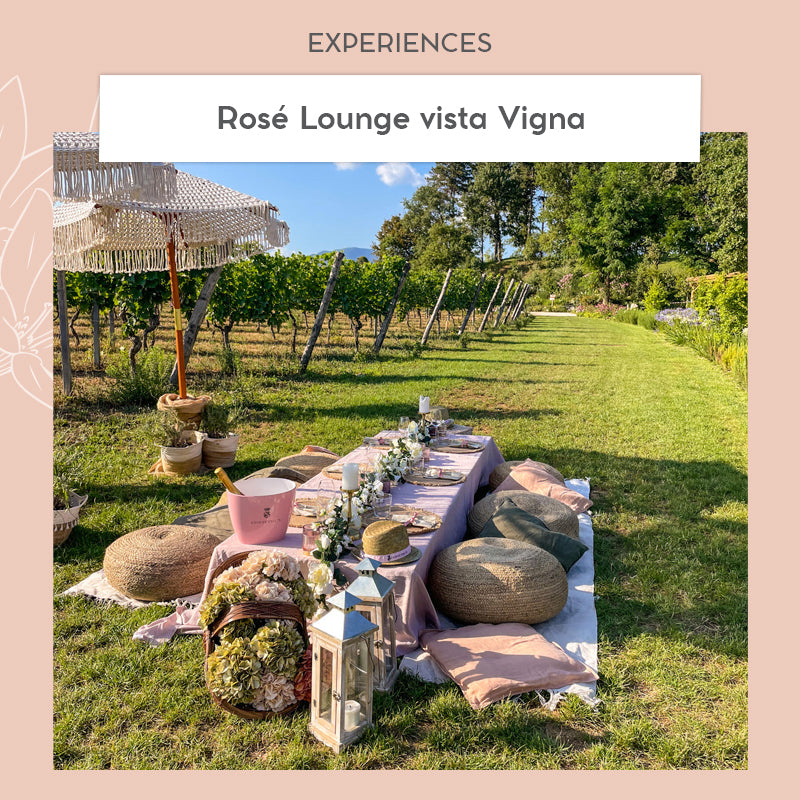 
                  
                    Rosé Lounge vista Vigna
                  
                