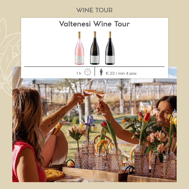 Valtènesi Wine Tour