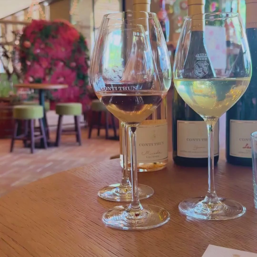 
                  
                    Carica e mostra video nella vista Galleria, Valtènesi Wine Tour
                  
                
