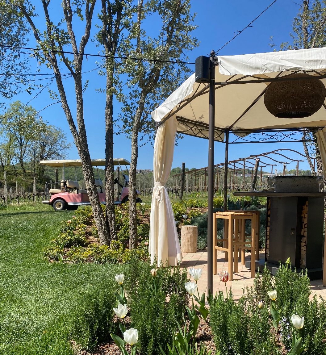 
                  
                    Easter Monday Vineyard View Grilled
                  
                